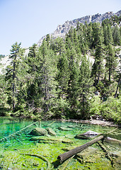 Image showing Green Lake