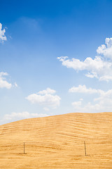 Image showing Country in Tuscany