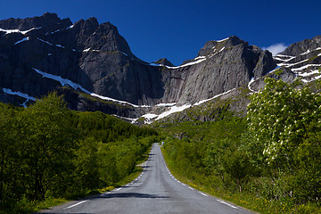 Image showing Road to Nusfjord