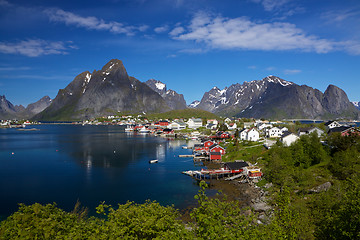 Image showing Reine