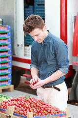 Image showing Young man at grocery choosing tomatoes