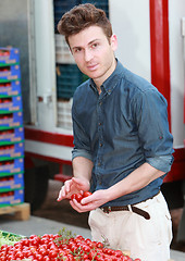 Image showing Young attractive man choosing tomatoes