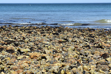 Image showing pebble beach