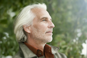 Image showing male portrait with white beard