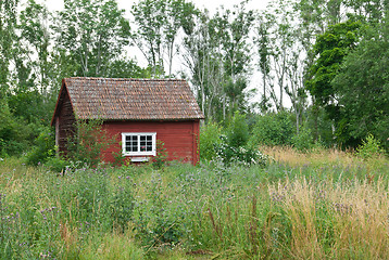 Image showing Traditional Swedish red house in summer landscape