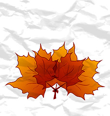 Image showing Autumnal maple leaves, crumpled paper texture