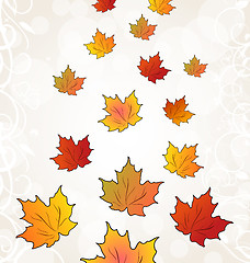 Image showing Flying autumn orange maple leaves