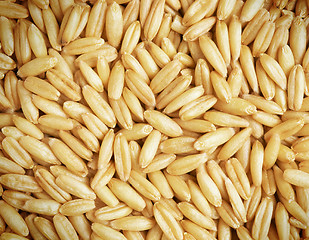 Image showing Whole wheat grains close up background