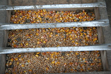 Image showing chicken feed