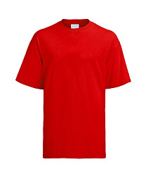 Image showing Red T-shirt