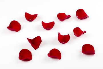 Image showing Rose petals isolated on white