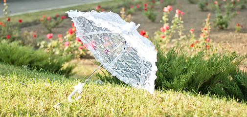 Image showing weddings umbrella