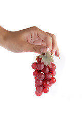 Image showing Pink grape cluster in hand isolated on white