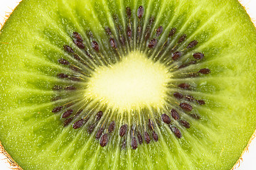 Image showing Close up of kiwi slice isolated over white background