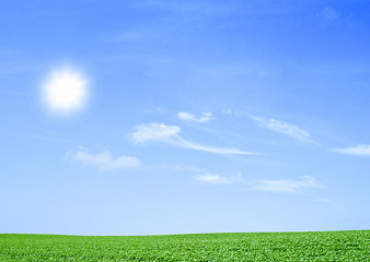 Image showing green field and trees