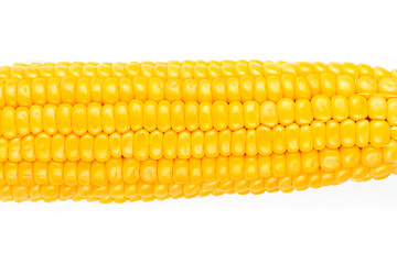 Image showing Corn