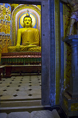 Image showing Buddha