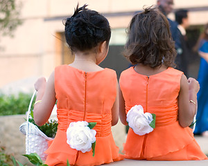 Image showing two little flower girls