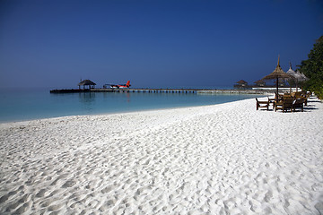 Image showing Beach