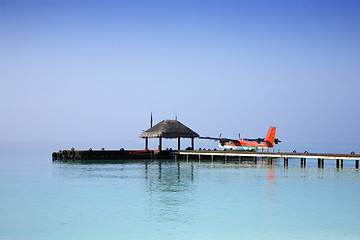 Image showing Twin Otter Seaplane