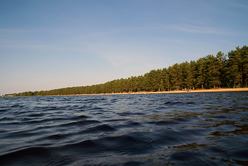 Image showing Wild beach on a lake.