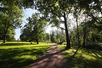 Image showing sun footpath in the park