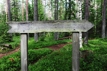 Image showing  blank wooden pointer in the woods