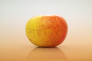 Image showing Fresh apple