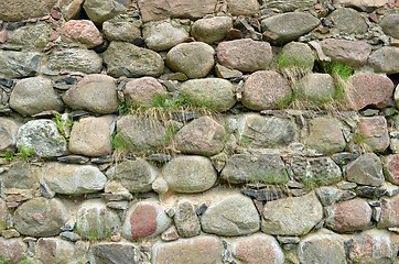 Image showing Backdrop of retro castle stone wall and grass grow 