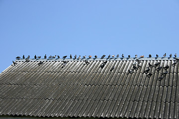 Image showing roof