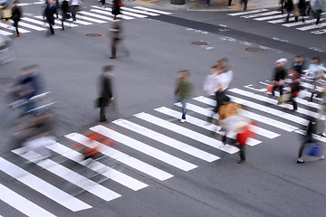 Image showing Pedestrian crossing