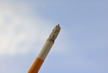 Image showing Cigarette