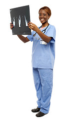 Image showing Young medical expert reviewing x-ray report