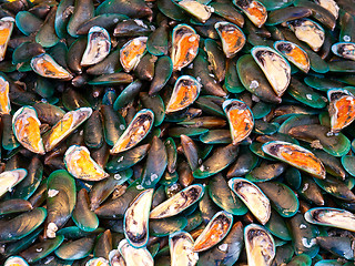 Image showing Mussels at a seafood market in Thailand