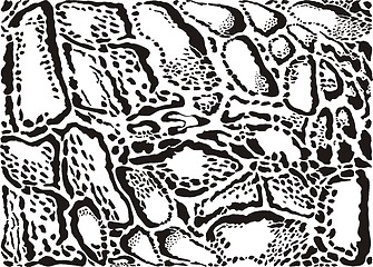 Image showing Clouded leopard pattern background