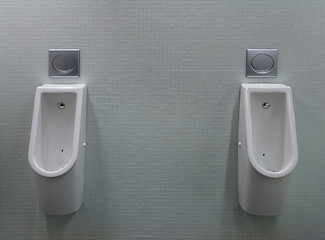 Image showing urinals with two white painted a fly on the toilet