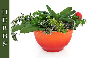 Image showing Fresh Herbs