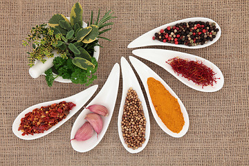 Image showing Spice and Herb Selection