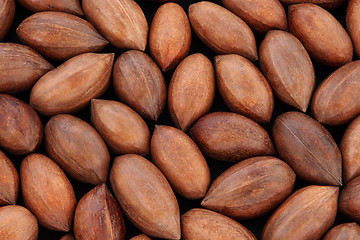 Image showing Pecan Nuts