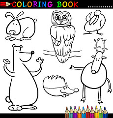 Image showing Animals for Coloring Book or Page