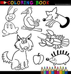 Image showing Animals for Coloring Book or Page