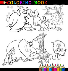 Image showing Animals for Coloring Book or Page