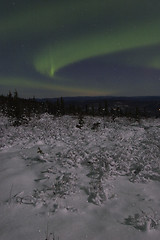 Image showing Winter night landscape with northern lights