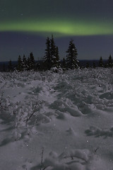 Image showing Calm aurora landscape