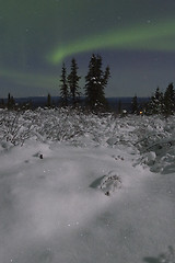 Image showing Lonely spruce in moon landscape with aurora borealis