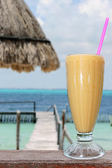 Image showing Tropical Drink