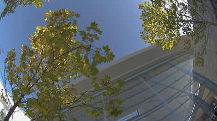 Image showing Steel, glass, concrete and wood