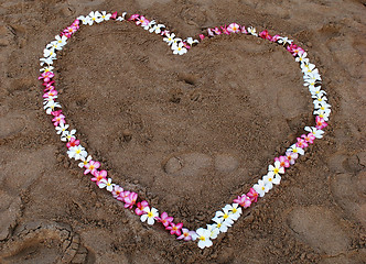 Image showing Flower heart