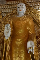 Image showing Burmese Standing Buddha