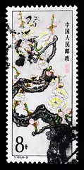 Image showing A stamp printed in China shows plum blossoms